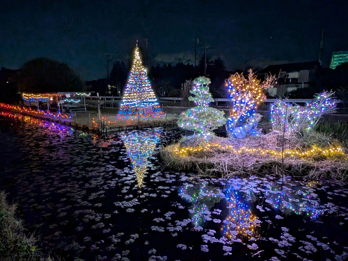 花の池イルミネーション（大殿井地区）