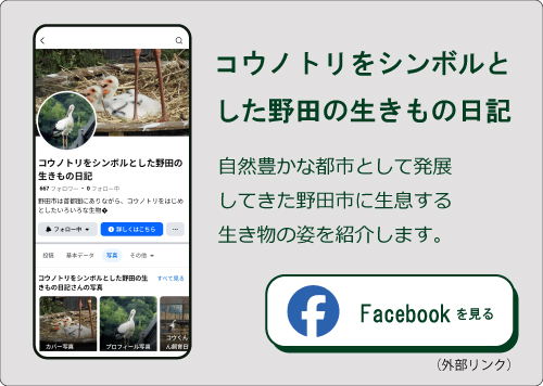 コウノトリをシンボルとした野田の生きもの日記（外部リンク・新しいウィンドウで開きます）