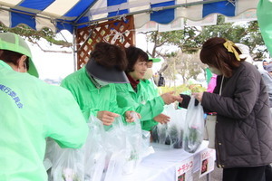 苗木配布