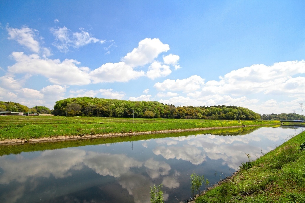 コウノトリが野生復帰した豊かな自然環　境