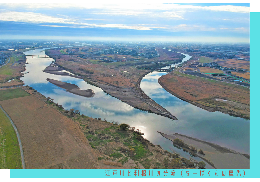 野田市ってどんなところ？