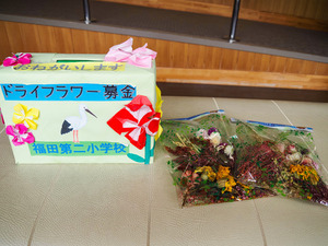募金箱とドライフラワー