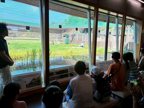 給餌