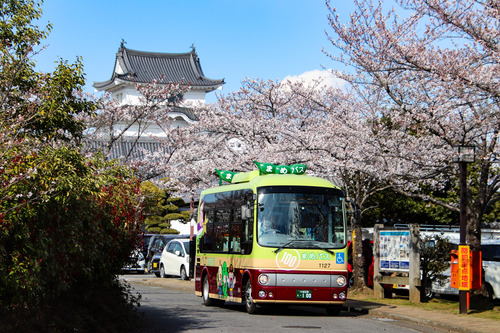 関宿城とさくら