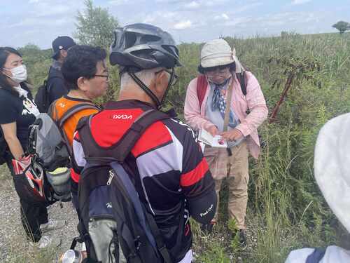 野田市の魅力を再発見！！わぴちゃんと一緒に草花さんぽ