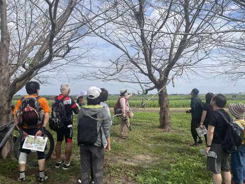 野田市の魅力を再発見！！わぴちゃんと一緒に草花さんぽ