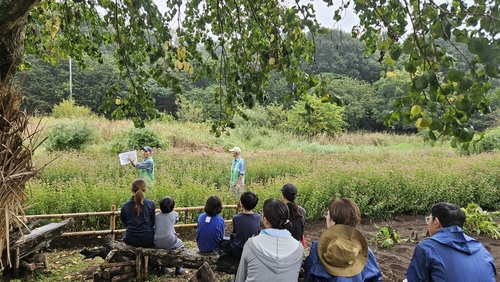 フジバカマ鑑賞会