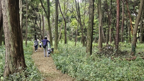 森を散策する様子