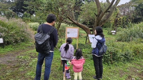 ウォークラリーの様子