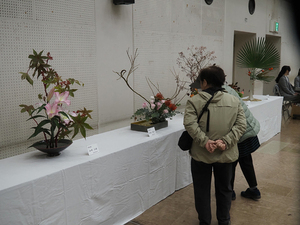 生け花の展示