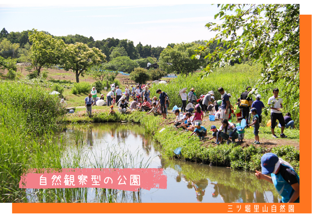 三ツ堀里山自然園