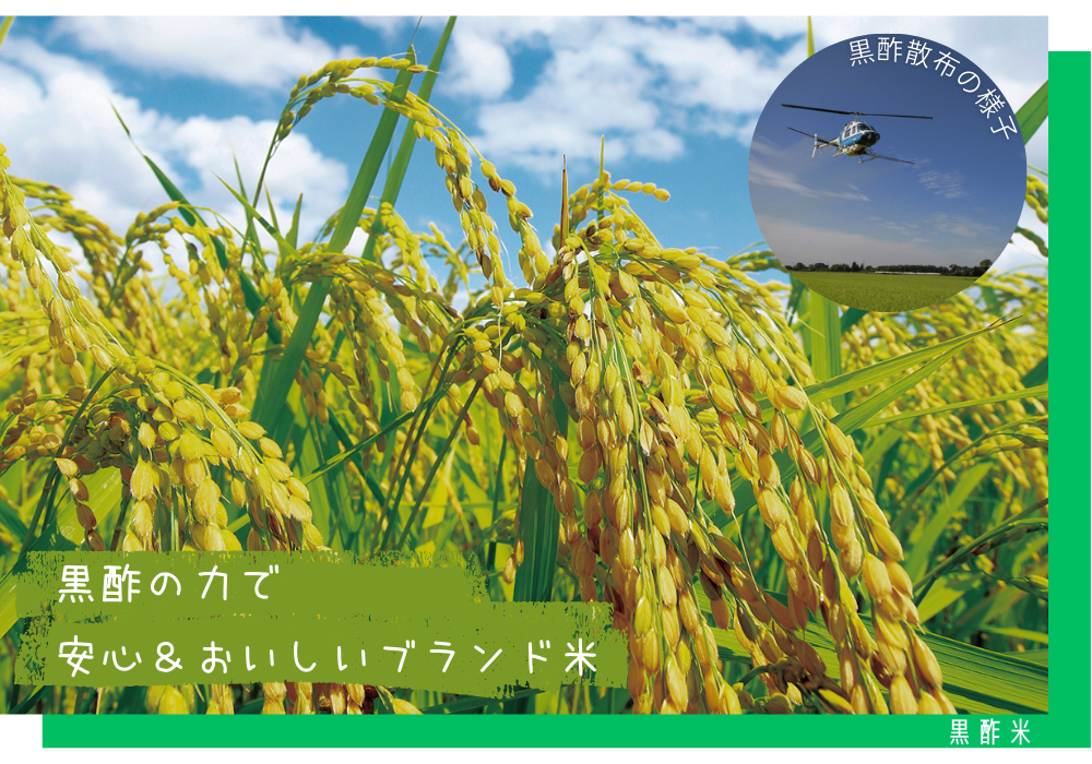 黒酢米