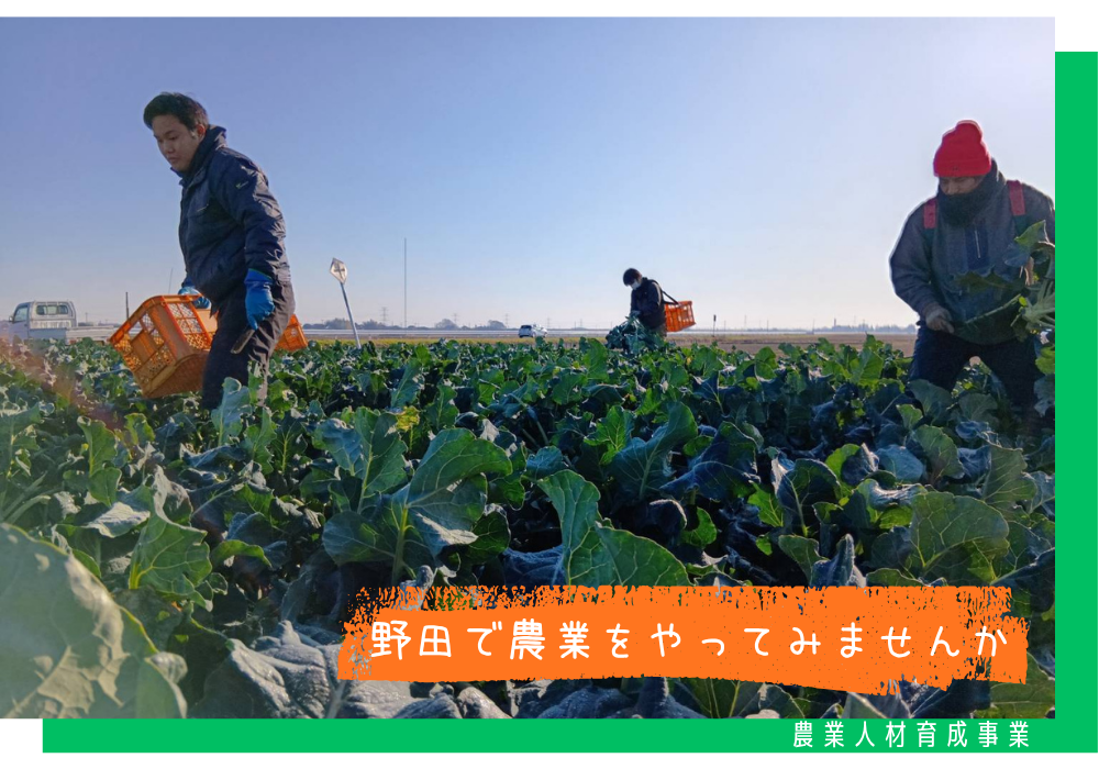 野田で農業をやってみませんか