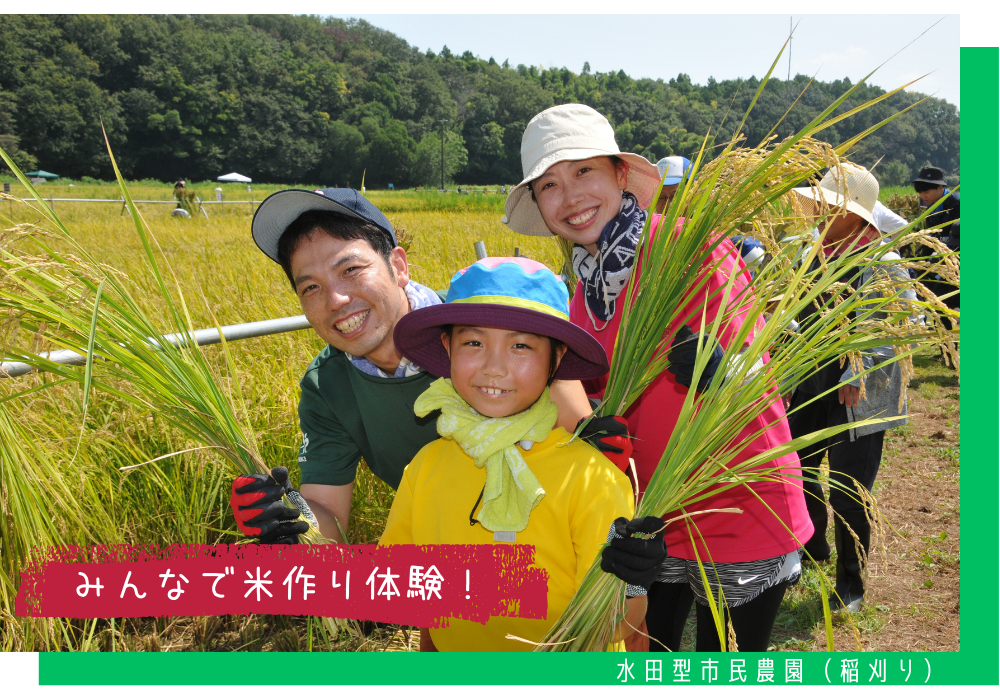 水田型市民農園