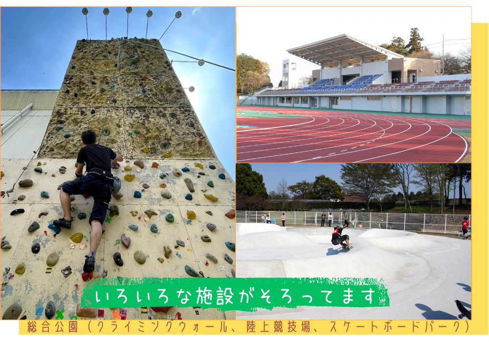 総合公園（陸上競技場、体育館、スケートボードパーク）