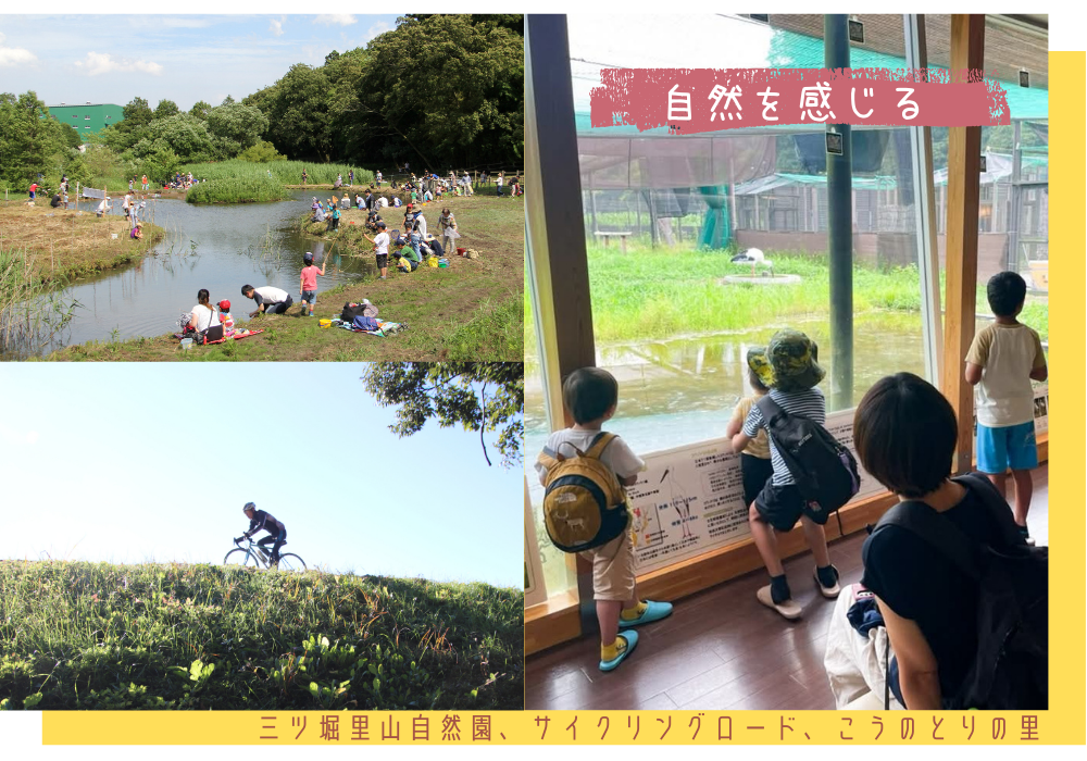 三ツ堀里山自然園、サイクリングロード、こうのとりの里