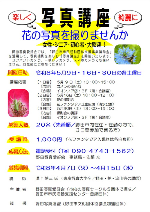 チラシ画像