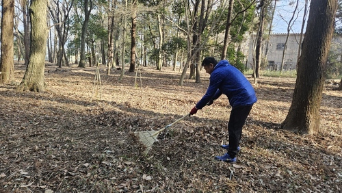 落ち葉かきの様子