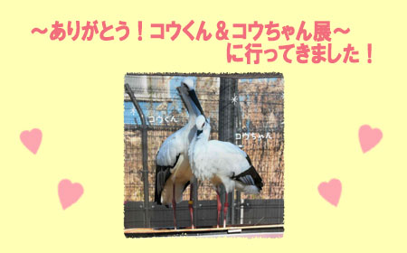 コウくん＆コウちゃん展