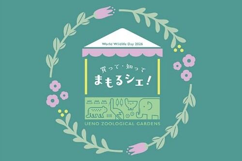 世界野生生物の日イベントのイメージイラスト