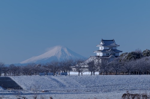 「関宿城の雪景色 」/@yuya_stagram0309