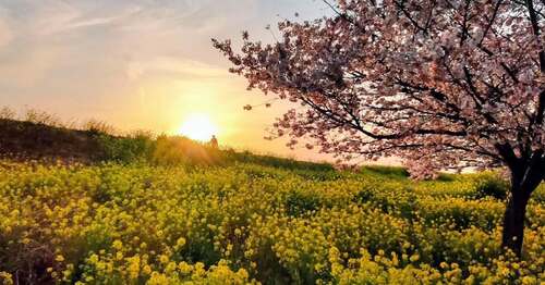 「桃源郷という言葉を思い出す」/@rika.nakagawa