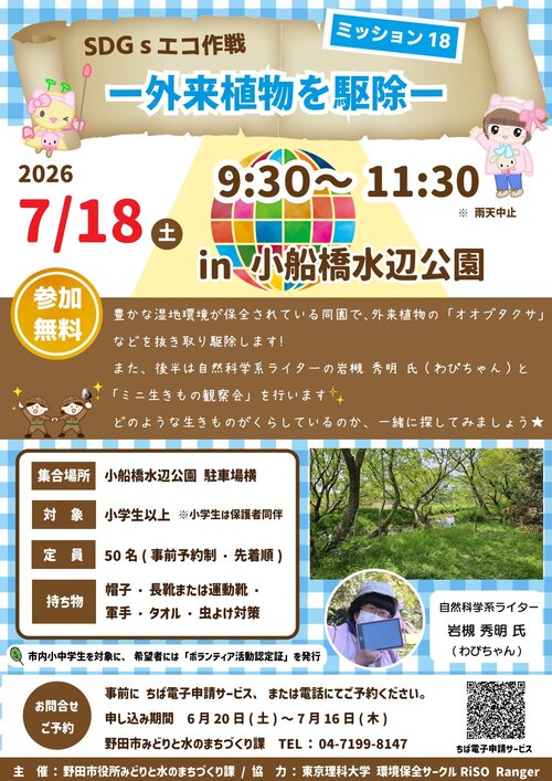 チラシ