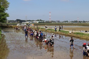 田植え全景