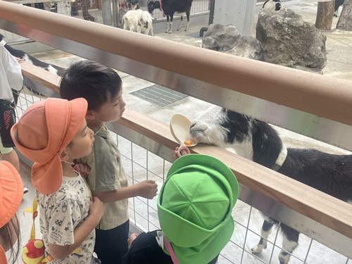 どうぶつと触れ合う子どもたち