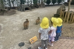 動物とのふれあい広場