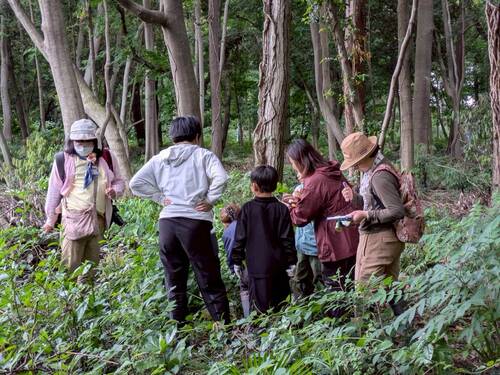 生きもの観察会の様子