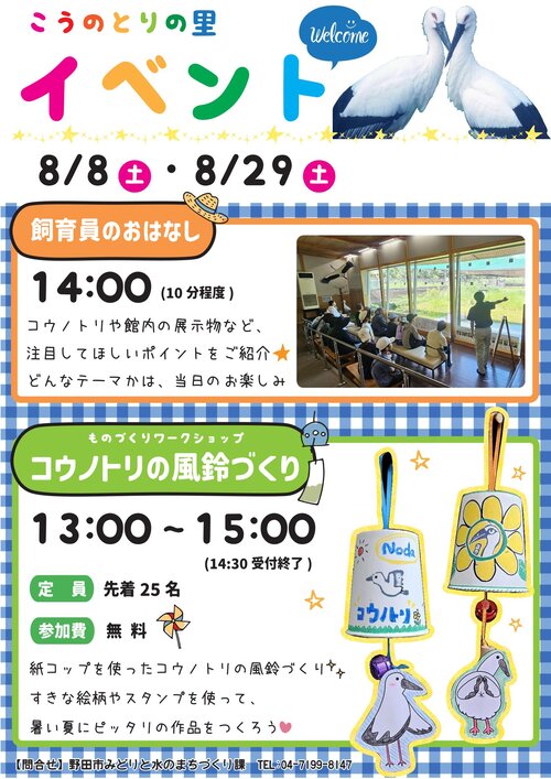 チラシ
