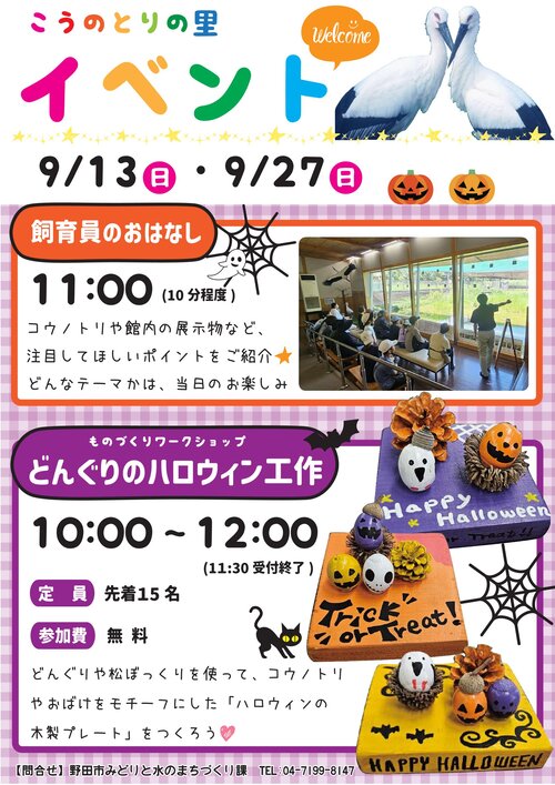 チラシ