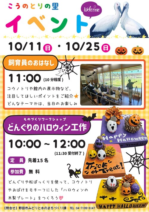 チラシ