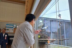 コウノトリを観察する市長