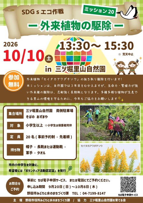 チラシ
