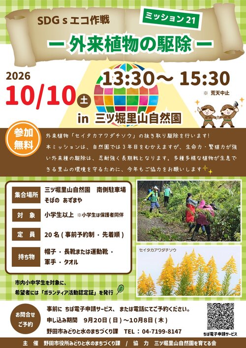 チラシ