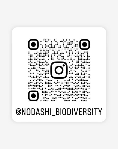 インスタグラム