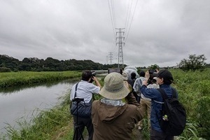 放鳥されたコウノトリを見守る人々