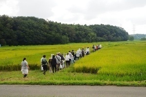 田んぼに入る参加者たち