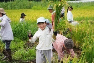 刈った稲を手にする子ども