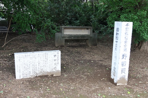 　2026年撮影